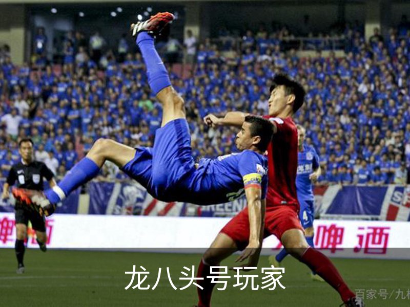走进龙八头号玩家